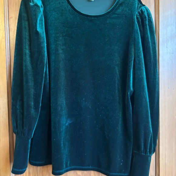Chico’s Green Velvet Long Sleeve Top Size 1 - Picture 1 of 3